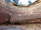 photo thumbnail #6