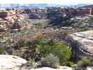 photo thumbnail #12