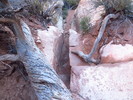 photo thumbnail #11