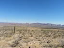 photo thumbnail #7