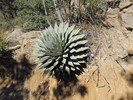 photo thumbnail #2
