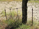 photo thumbnail #9