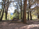 photo thumbnail #11