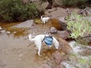 photo thumbnail #5
