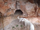 photo thumbnail #13