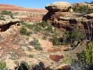 photo thumbnail #5
