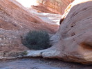 photo thumbnail #12