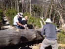 photo thumbnail #1