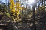 photo thumbnail #7