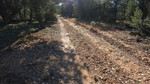 photo thumbnail #7