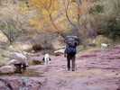 photo thumbnail #4