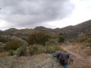 photo thumbnail #14