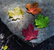 photo thumbnail #15