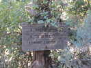 photo thumbnail #13