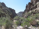photo thumbnail #8