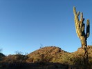 photo thumbnail #4
