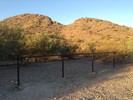 photo thumbnail #5