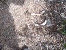 photo thumbnail #2