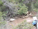 photo thumbnail #5