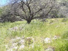 photo thumbnail #13