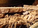 photo thumbnail #12