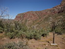 photo thumbnail #4