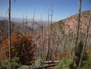 photo thumbnail #5