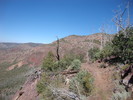 photo thumbnail #9