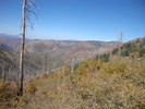 photo thumbnail #11