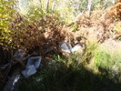 photo thumbnail #14