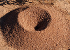 photo thumbnail #4
