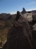 photo thumbnail #7