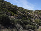 photo thumbnail #12