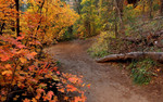 photo thumbnail #7