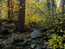 photo thumbnail #15