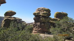 photo thumbnail #13