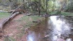 photo thumbnail #6