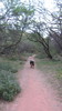photo thumbnail #14