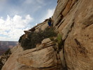 photo thumbnail #7