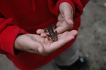 photo thumbnail #6