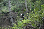 photo thumbnail #9