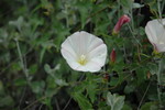 photo thumbnail #13