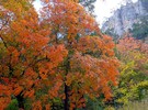 photo thumbnail #11