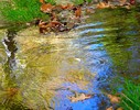 photo thumbnail #13