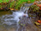 photo thumbnail #14