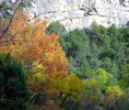 photo thumbnail #15