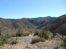 photo thumbnail #7
