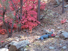 photo thumbnail #9