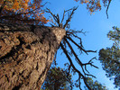 photo thumbnail #14