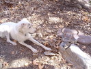 photo thumbnail #8